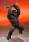 Preview: Godzilla vs. Kong Action Figure S.H. MonsterArts 2021 Kong