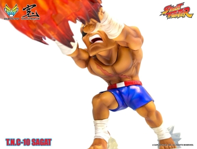 Street Fighter PVC Statue with Sound & Light Up Sagat 17 cm