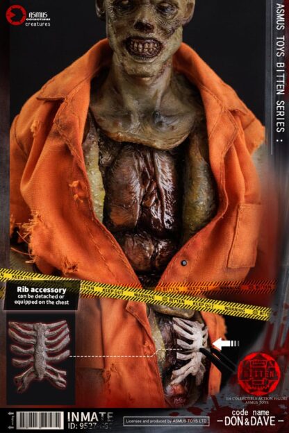 Bitten Actionfigur 1/6 Don 31 cm – Bild 5