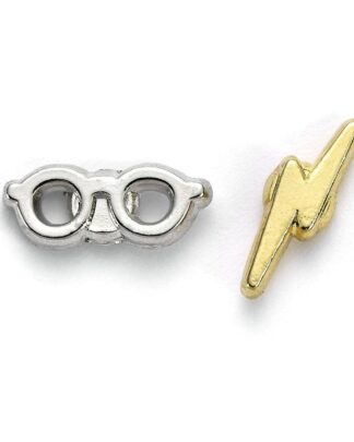 Harry Potter Ohrringe Blitz & Brille