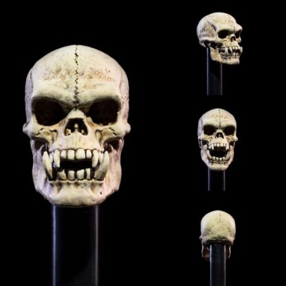 Mythic Legions: All Stars 6 Zubehör-Set für Actionfiguren Undead Heads Pack – Bild 5
