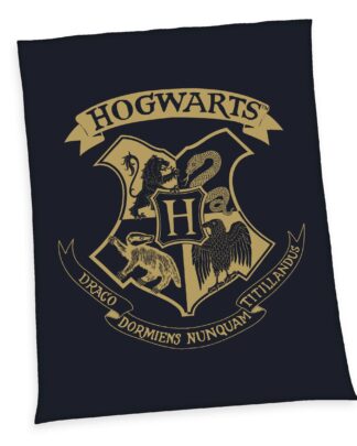 Harry Potter Fleecedecke Hogwarts 150 x 200 cm