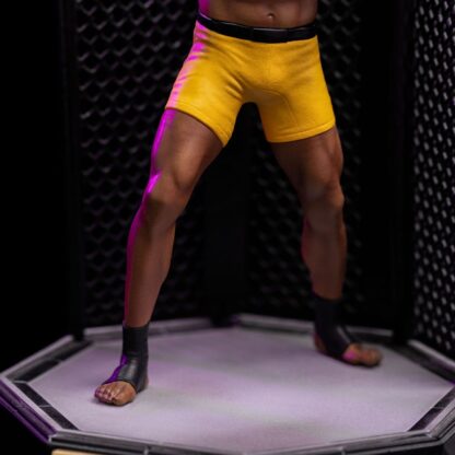 UFC Deluxe Art Scale Statue 1/10 Anderson "Spider" Silva - Signed Version 22 cm – Bild 5