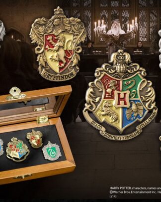Harry Potter Pin Kollektion Hogwarts (5)
