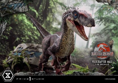 Jurassic Park III Legacy Museum Collection Statue 1/6 Velociraptor Male 40 cm – Bild 12