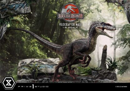 Jurassic Park III Legacy Museum Collection Statue 1/6 Velociraptor Male 40 cm – Bild 14