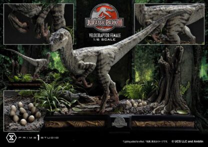 Jurassic Park III Legacy Museum Collection Statue 1/6 Velociraptor Female Bonus Version 44 cm – Bild 2