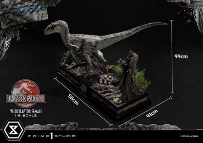 Jurassic Park III Legacy Museum Collection Statue 1/6 Velociraptor Female Bonus Version 44 cm – Bild 3