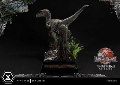 Jurassic Park III Legacy Museum Collection Statue 1/6 Velociraptor Female Bonus Version 44 cm – Bild 6