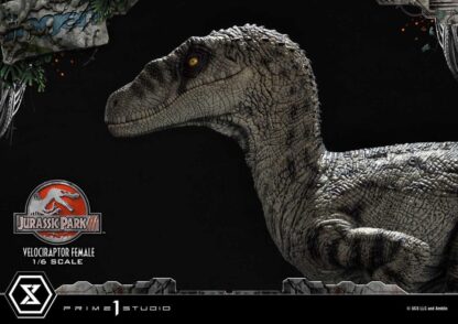 Jurassic Park III Legacy Museum Collection Statue 1/6 Velociraptor Female Bonus Version 44 cm – Bild 7