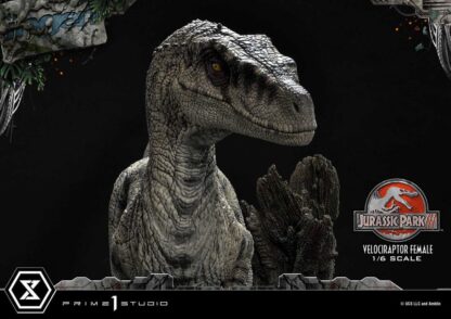 Jurassic Park III Legacy Museum Collection Statue 1/6 Velociraptor Female Bonus Version 44 cm – Bild 8