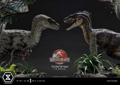 Jurassic Park III Legacy Museum Collection Statue 1/6 Velociraptor Female Bonus Version 44 cm – Bild 23