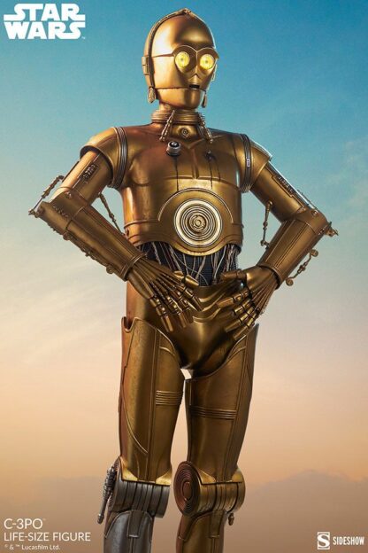Star Wars Life-Size Statue C-3PO 188 cm – Bild 3