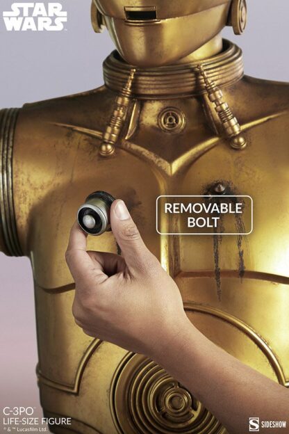 Star Wars Life-Size Statue C-3PO 188 cm – Bild 8