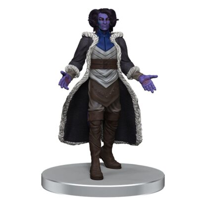 Critical Role Miniaturen vorbemalt The Tombtakers Boxed Set – Bild 3