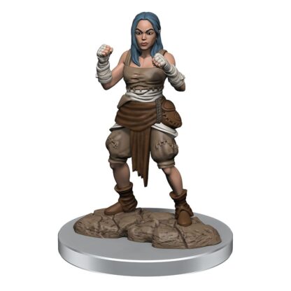 Pathfinder Battles Deep Cuts Miniaturen unbemalt 2er-Packs Half-Elf Monk Female Umkarton (2) – Bild 2