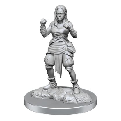 Pathfinder Battles Deep Cuts Miniaturen unbemalt 2er-Packs Half-Elf Monk Female Umkarton (2) – Bild 3