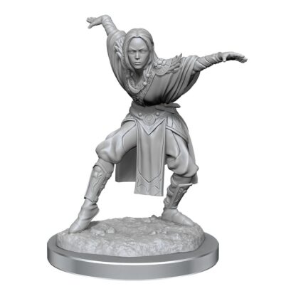 Pathfinder Battles Deep Cuts Miniaturen unbemalt 2er-Packs Half-Elf Monk Female Umkarton (2) – Bild 5
