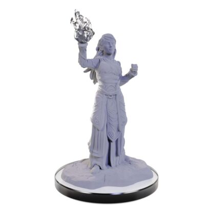D&D Nolzur's Marvelous Miniatures Miniatur unbemalt Elf Wizards – Bild 3