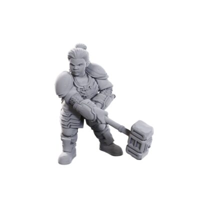 D&D Nolzur's Marvelous Miniatures Miniaturen unbemalt 2er-Pack 50th Anniversary Dwarves – Bild 3