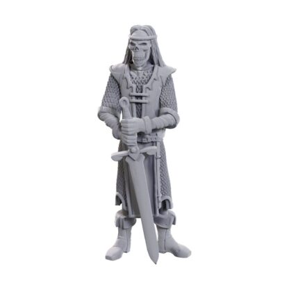 D&D Nolzur's Marvelous Miniatures Miniaturen unbemalt 2er-Pack 50th Anniversary Skeleton Knights – Bild 2