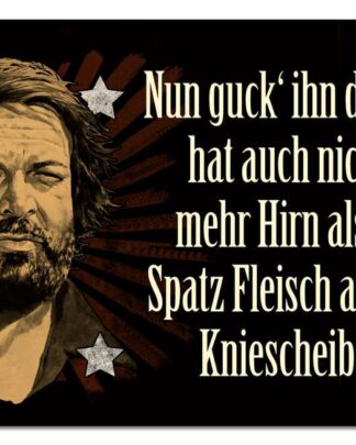 Bud Spencer Blechschild Nun guck' ihn dir an,... 10 x 15 cm