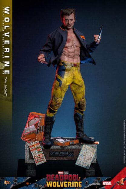 Deadpool & Wolverine Movie Masterpiece Actionfigur 1/6 Wolverine (TVA Jacket Version) 31 cm – Bild 6