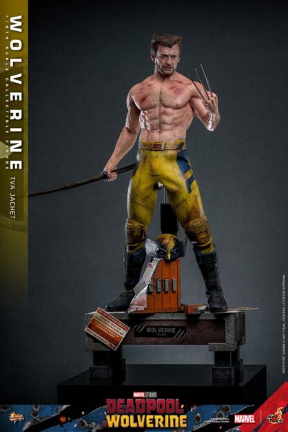 Deadpool & Wolverine Movie Masterpiece Actionfigur 1/6 Wolverine (TVA Jacket Version) 31 cm – Bild 8