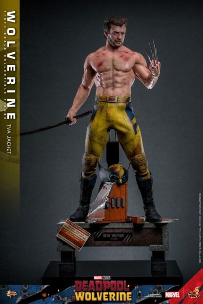 Deadpool & Wolverine Movie Masterpiece Actionfigur 1/6 Wolverine (TVA Jacket Version) 31 cm – Bild 9