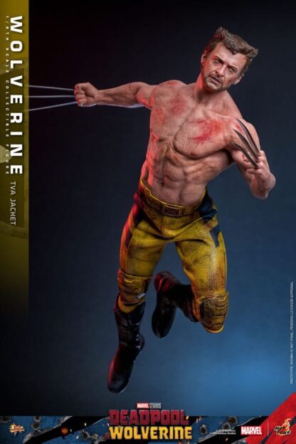 Deadpool & Wolverine Movie Masterpiece Actionfigur 1/6 Wolverine (TVA Jacket Version) 31 cm – Bild 12