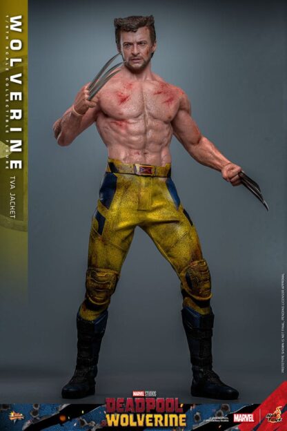 Deadpool & Wolverine Movie Masterpiece Actionfigur 1/6 Wolverine (TVA Jacket Version) 31 cm – Bild 13