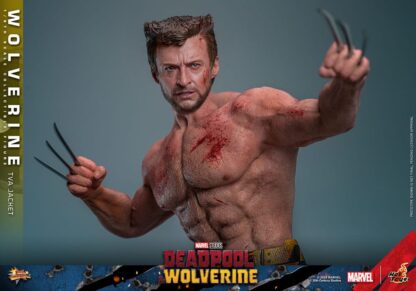 Deadpool & Wolverine Movie Masterpiece Actionfigur 1/6 Wolverine (TVA Jacket Version) 31 cm – Bild 15