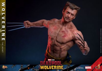 Deadpool & Wolverine Movie Masterpiece Actionfigur 1/6 Wolverine (TVA Jacket Version) 31 cm – Bild 17