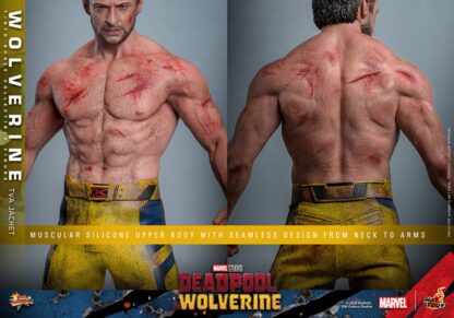 Deadpool & Wolverine Movie Masterpiece Actionfigur 1/6 Wolverine (TVA Jacket Version) 31 cm – Bild 20