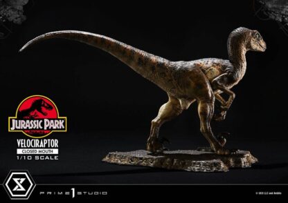 Jurassic Park Prime Collectibles Statue 1/10 Velociraptor Closed Mouth 19 cm – Bild 6