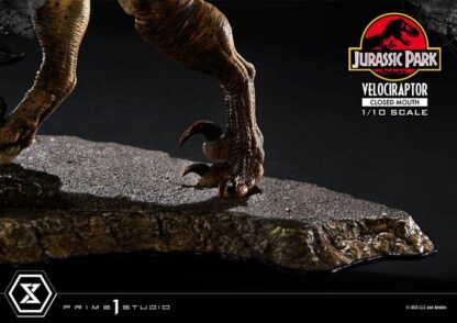 Jurassic Park Prime Collectibles Statue 1/10 Velociraptor Closed Mouth 19 cm – Bild 11