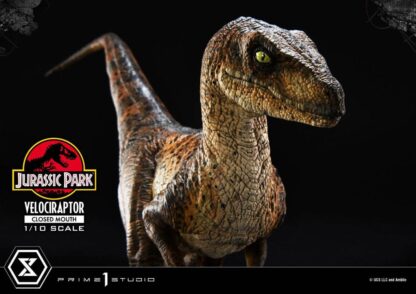Jurassic Park Prime Collectibles Statue 1/10 Velociraptor Closed Mouth 19 cm – Bild 19