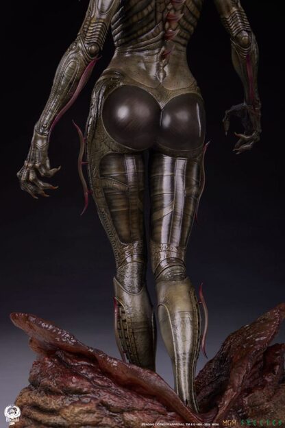 Species Statue 1/3 Sil 66 cm – Bild 22