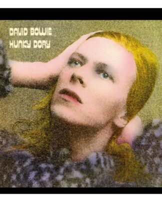 David Bowie Rock Saws Puzzle Hunky Dory (500 Teile)