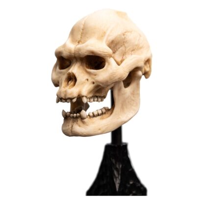 Herr der Ringe Mini Statue Skull of Lurtz 14 cm – Bild 2