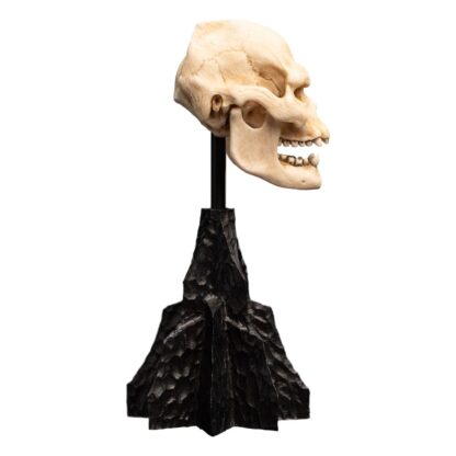 Herr der Ringe Mini Statue Skull of Lurtz 14 cm – Bild 6