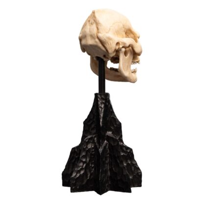 Herr der Ringe Mini Statue Skull of Lurtz 14 cm – Bild 7