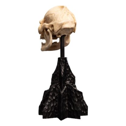Herr der Ringe Mini Statue Skull of Lurtz 14 cm – Bild 9