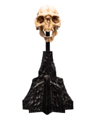 Herr der Ringe Mini Statue Skull of a Moria Orc 13 cm