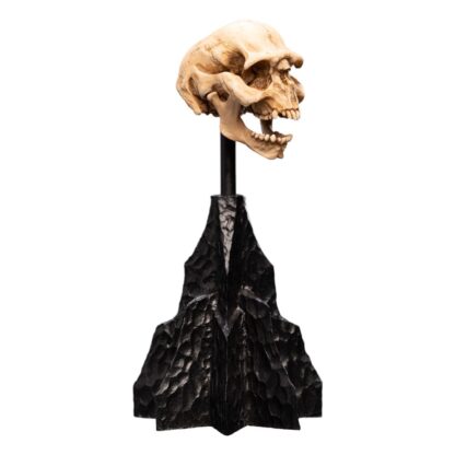 Herr der Ringe Mini Statue Skull of a Moria Orc 13 cm – Bild 5
