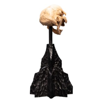Herr der Ringe Mini Statue Skull of a Moria Orc 13 cm – Bild 7