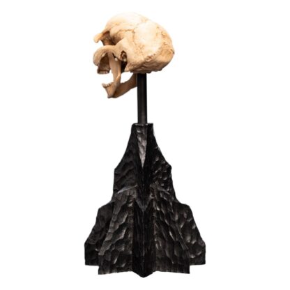 Herr der Ringe Mini Statue Skull of a Moria Orc 13 cm – Bild 9