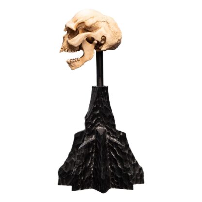 Herr der Ringe Mini Statue Skull of a Moria Orc 13 cm – Bild 10