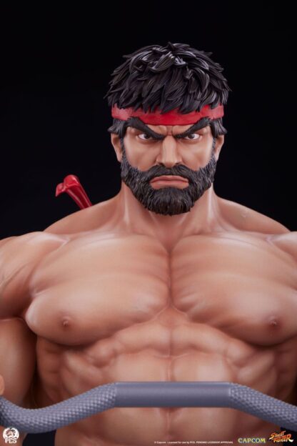 Street Fighter Premier Series Statue 1/4 Ryu Battle Edition: Powerlifting 53 cm – Bild 12