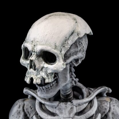 Graveyard Skeletons Actionfiguren 4er-Pack – Bild 11